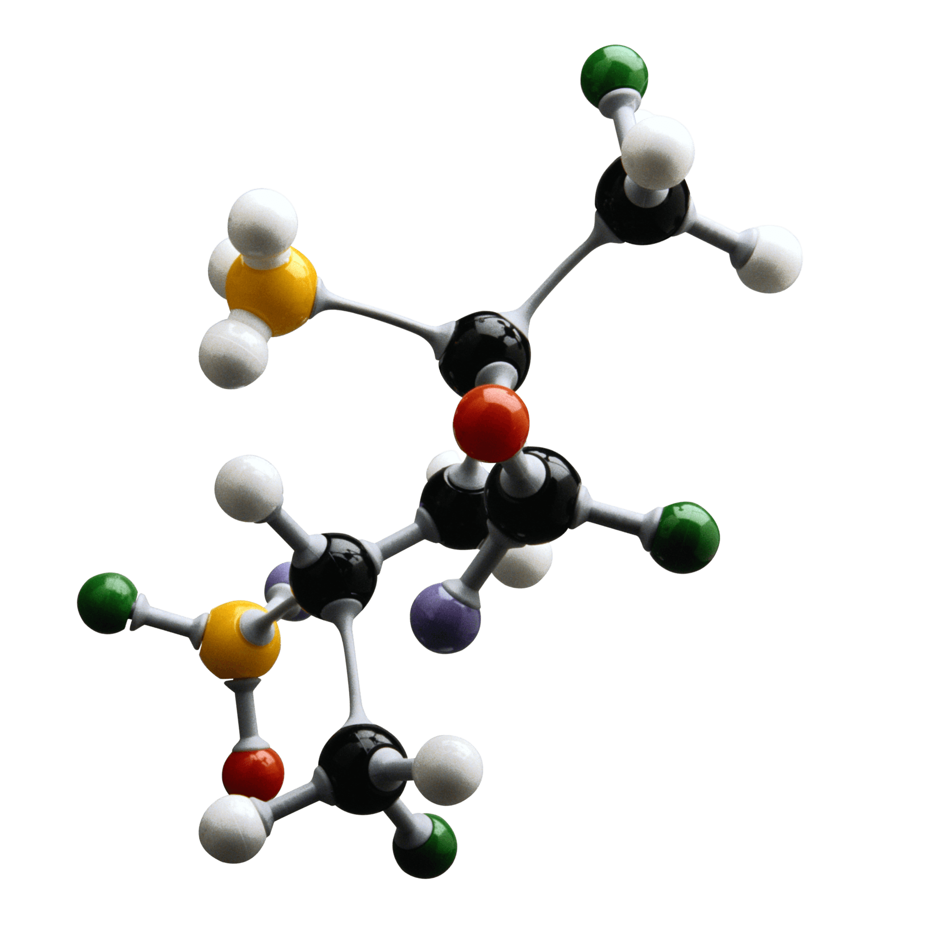 Hormone Balance Illustration